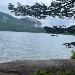 Meet your Posher, Tasha